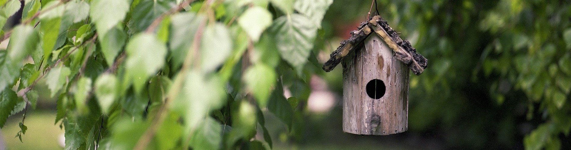 Ein Baum mit einem Vogelhaus